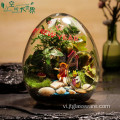 Terrarium thủy tinh cho cây mọng nước